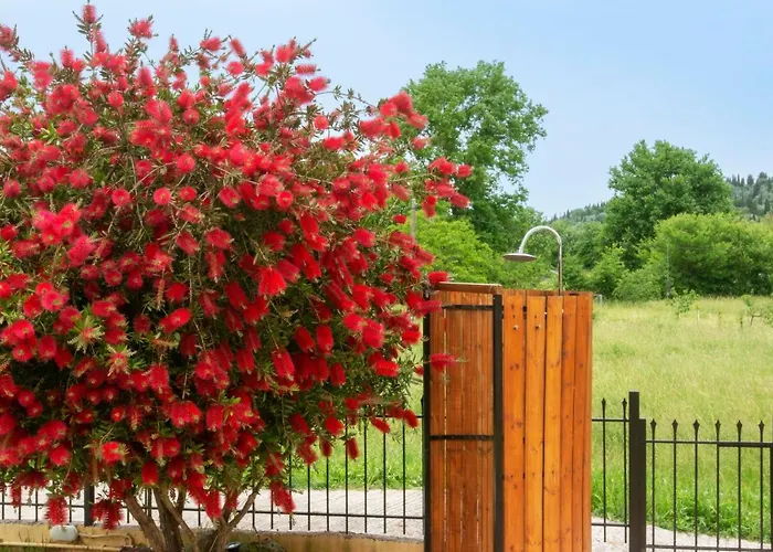 Case de vacanță Rose House